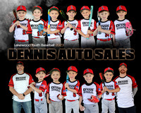 Dennis Auto Sales