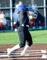 V Softball Vs Newark